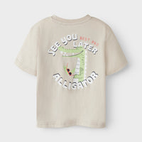 NAME IT MINI REGULAR FIT -MALLINEN T-PAITA