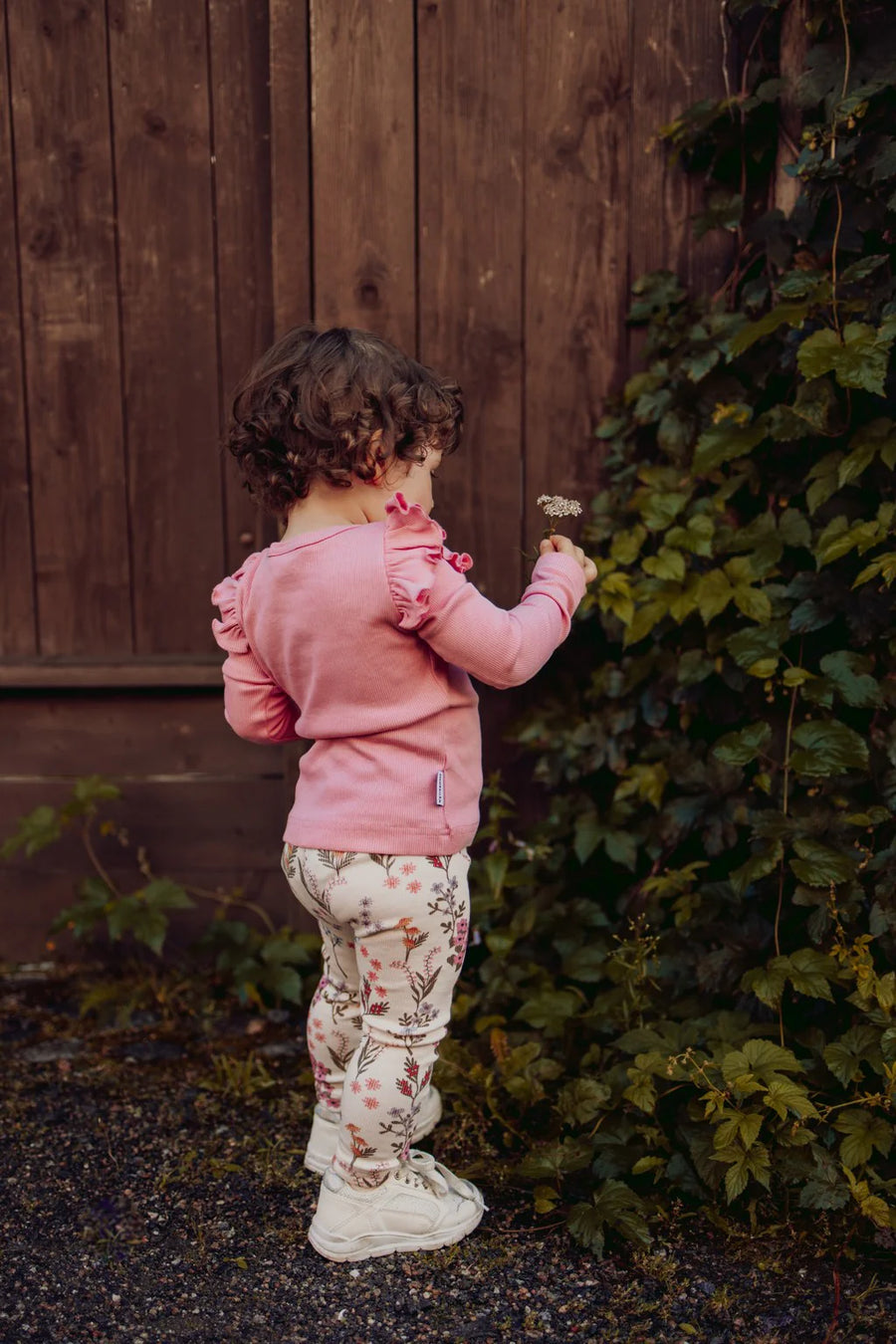 Metsola - rib frilla shirt | rosy