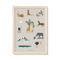 Liewood - Beverly juliste