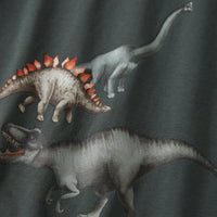 Name It - pitkähihainen paita, dino green.