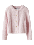Name it  - neuletakki - Carinaria