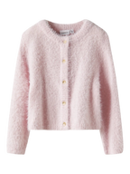 Name it  - neuletakki - Carinaria