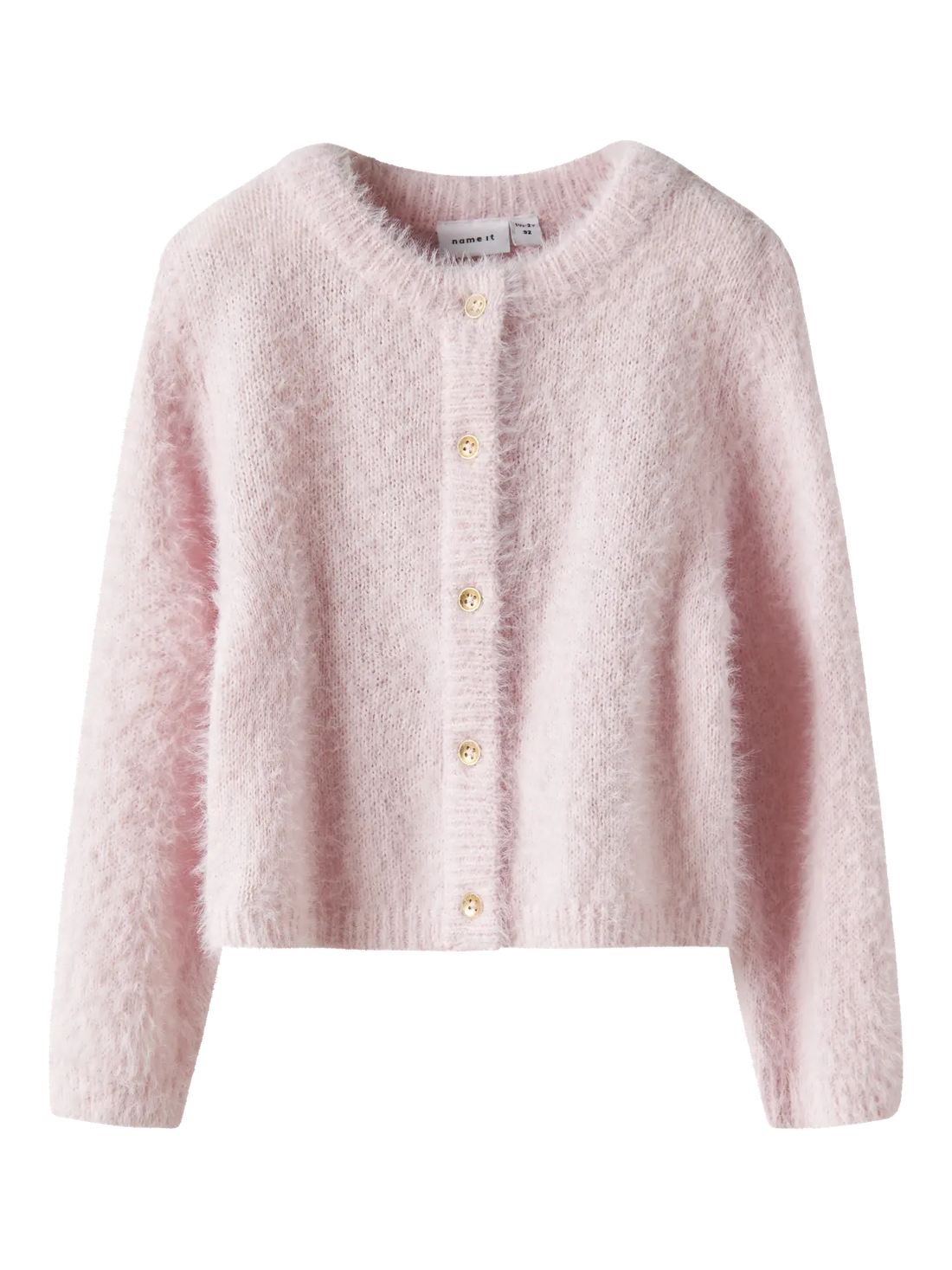 Name it  - neuletakki - Carinaria