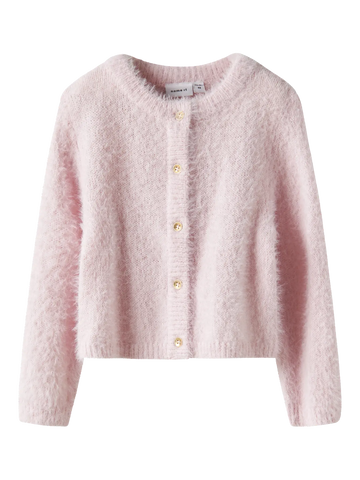 Name it  - neuletakki - Carinaria