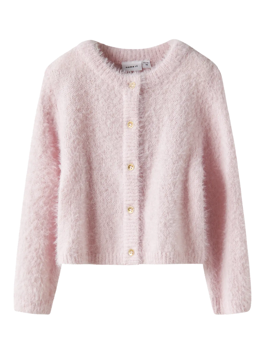 Name it  - neuletakki - Carinaria