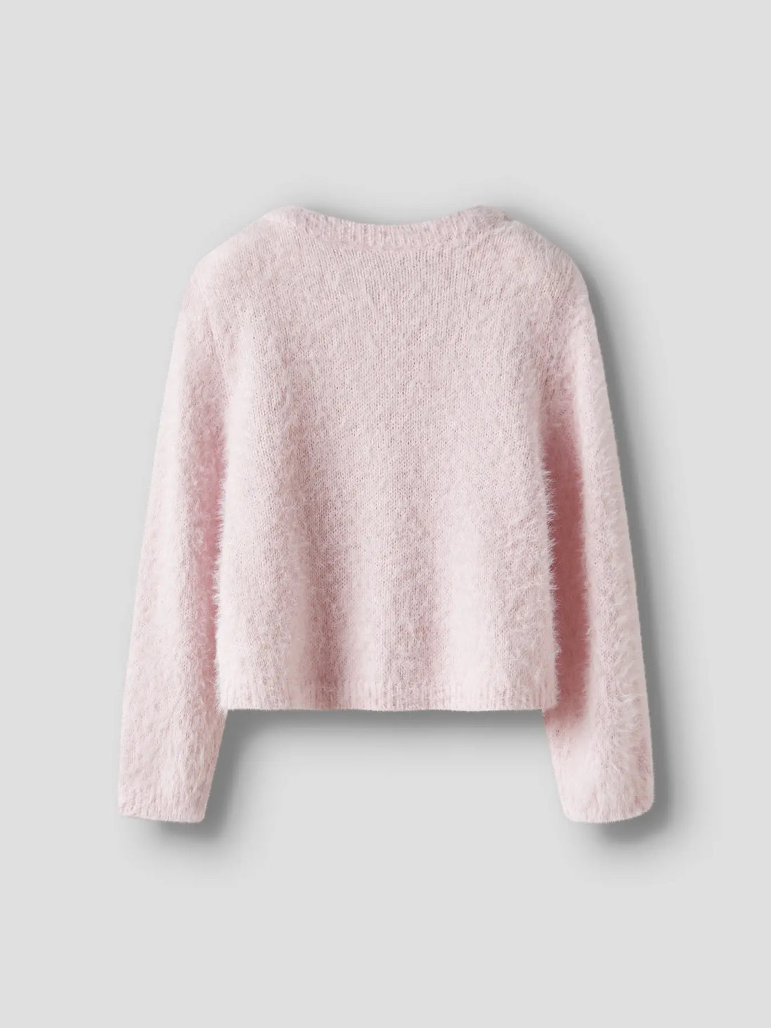 Name it  - neuletakki - Carinaria