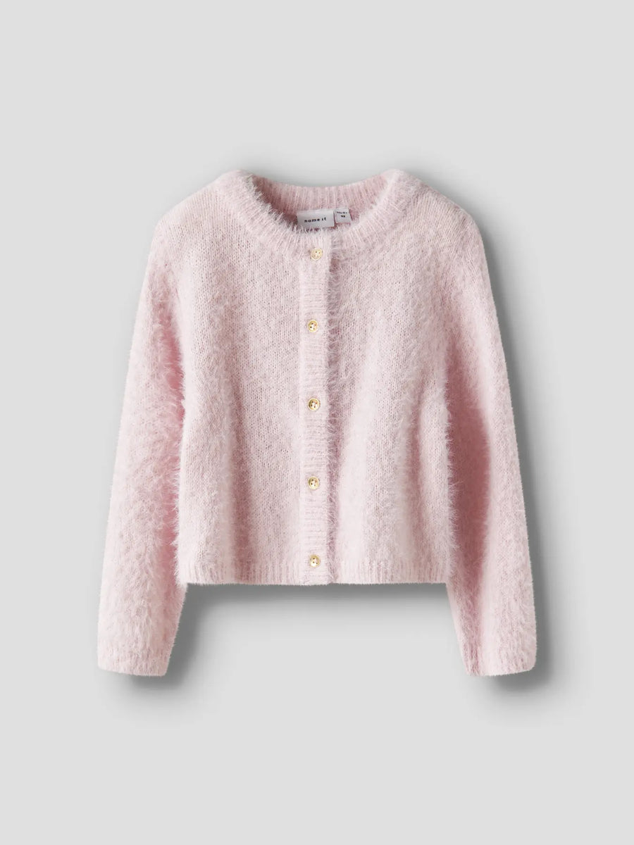 Name it  - neuletakki - Carinaria