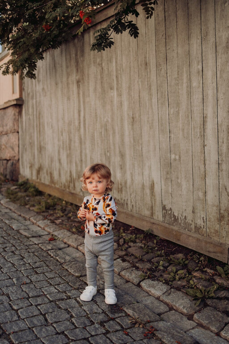 Metsola - Fox Cloudy -Body